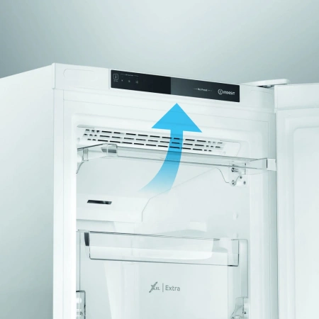 Морозильная камера Indesit DFZ5175