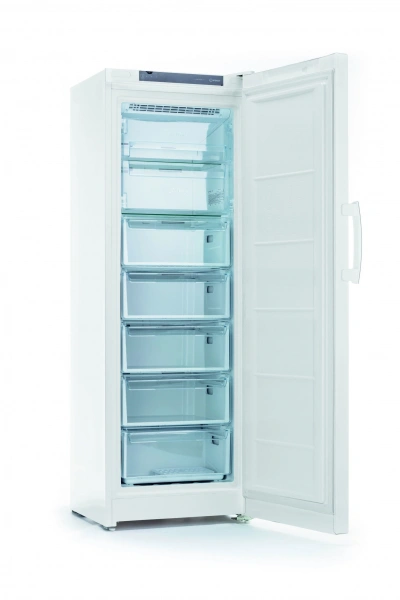 Морозильная камера Indesit DFZ5175