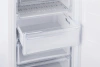 Морозильная камера Indesit DSZ4150.1