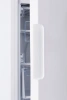Морозильная камера Indesit DSZ4150.1
