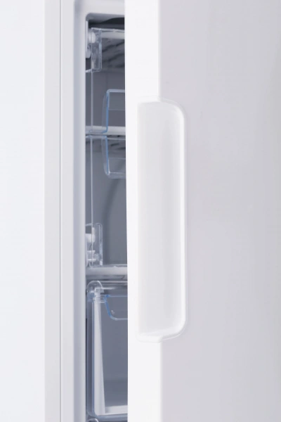 Морозильная камера Indesit DSZ4150.1