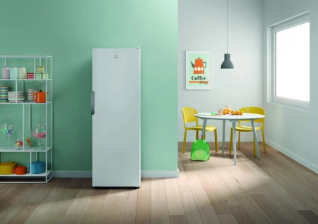 Морозильная камера Indesit DFZ5175