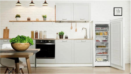 Морозильная камера Indesit DSZ4150.1