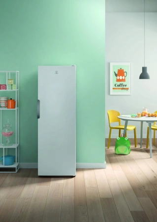 Морозильная камера Indesit DFZ5175